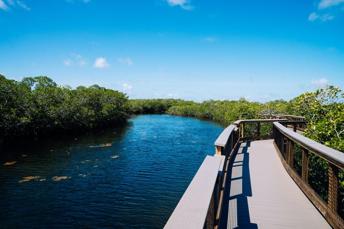 Indian Rocks Beach Nature Preserve
