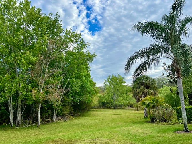 Kolb Park
