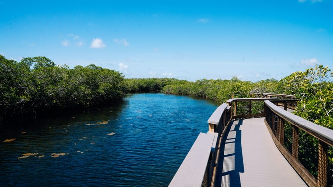 Indian Rocks Beach Nature Preserve