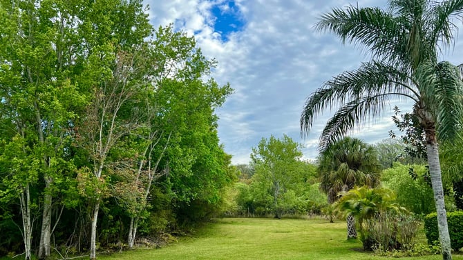 Kolb Park